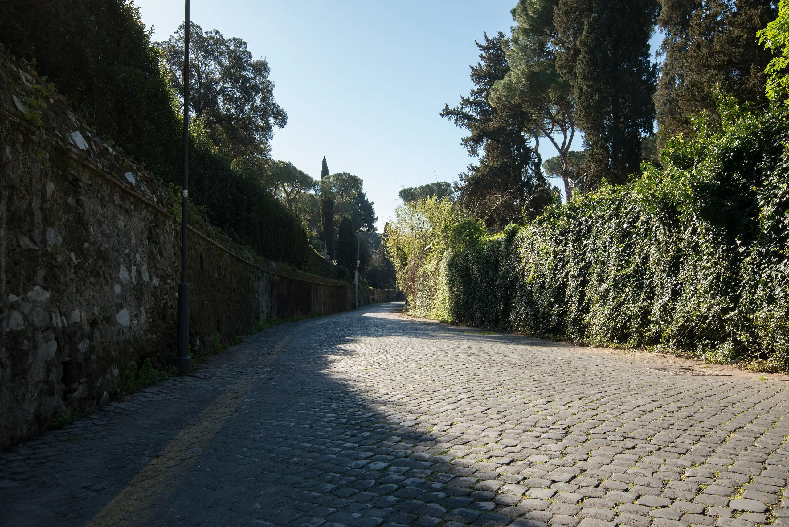 The ancient basalt paving of the Via Appia Antica running between a high stone wall and umbrella pines on a bright day.