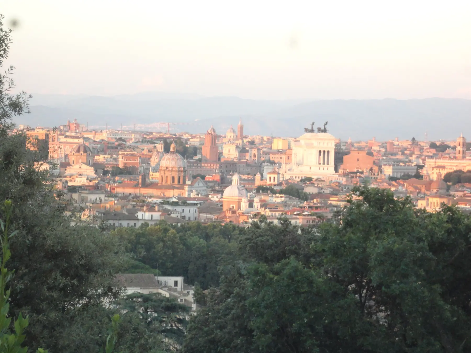 Warm early light on Rome's rooftops and domes seen through pines from the Gianicolo, with the white Vittoriano on the skyline.